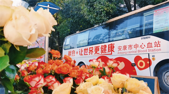 安康這三兄妹，熱血！