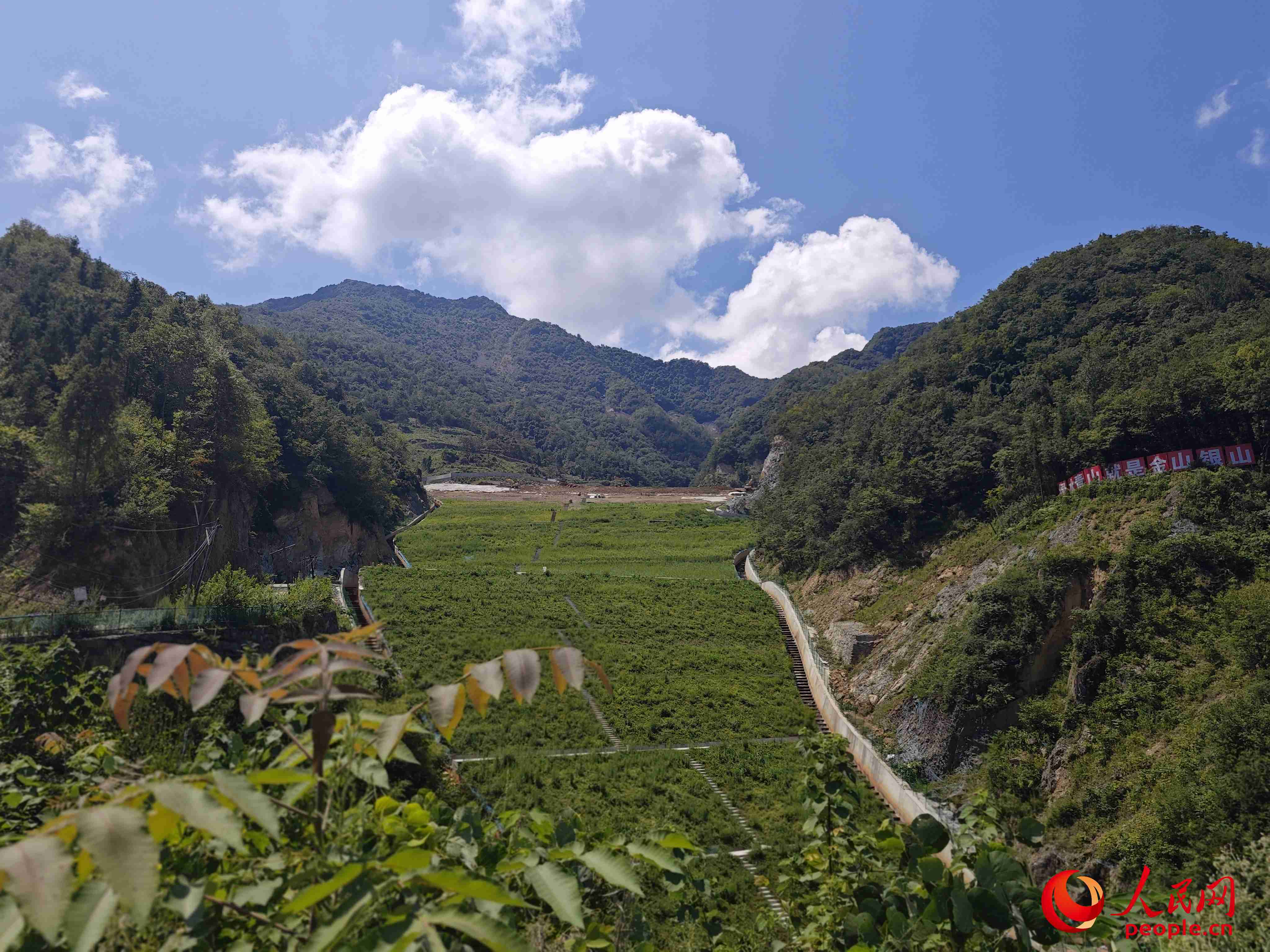 已部分復(fù)綠的貯存場(chǎng)。人民網(wǎng)記者 黃鈺攝