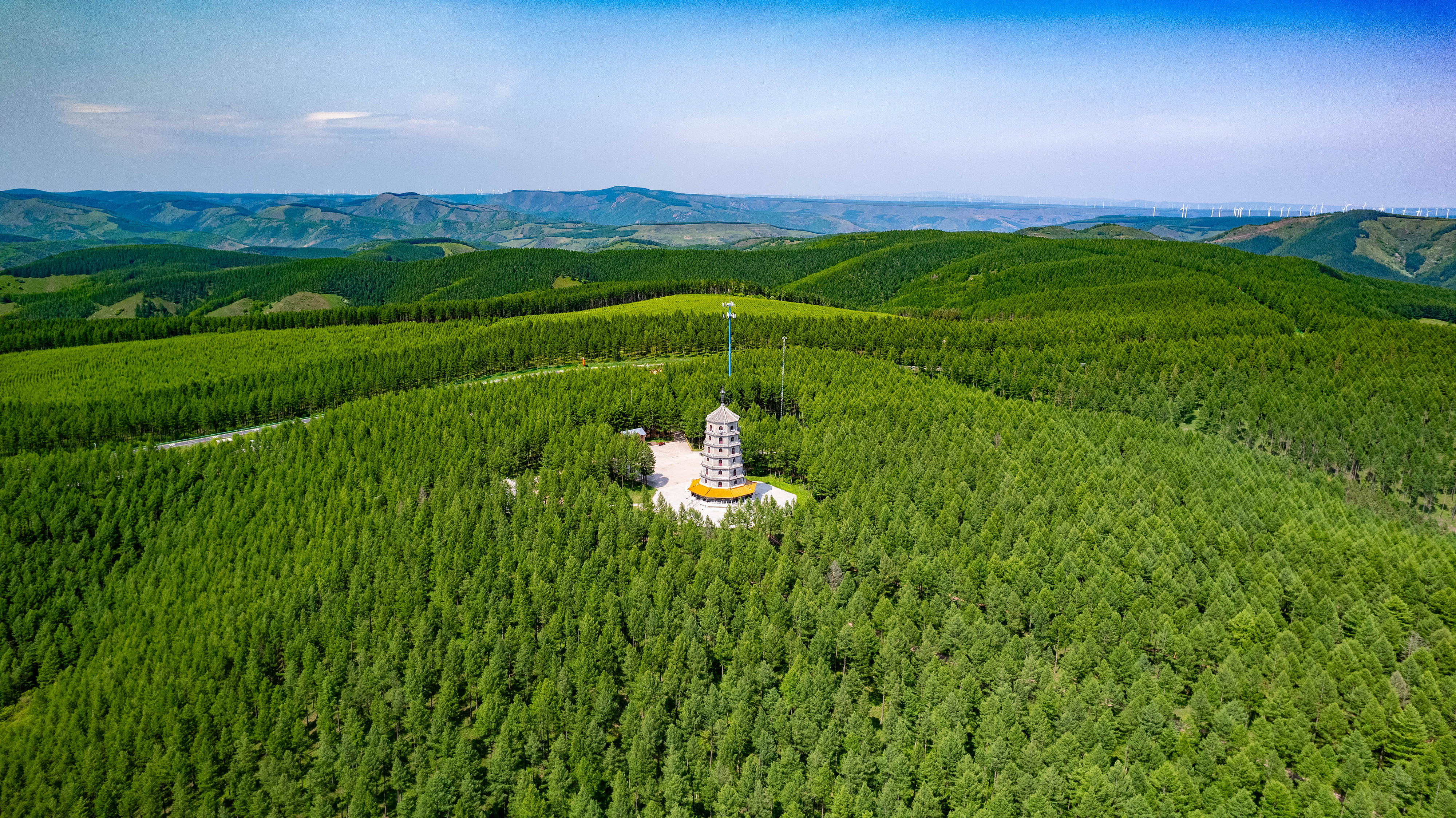 2025年6月11日，河北承德，塞罕壩林海浩渺。