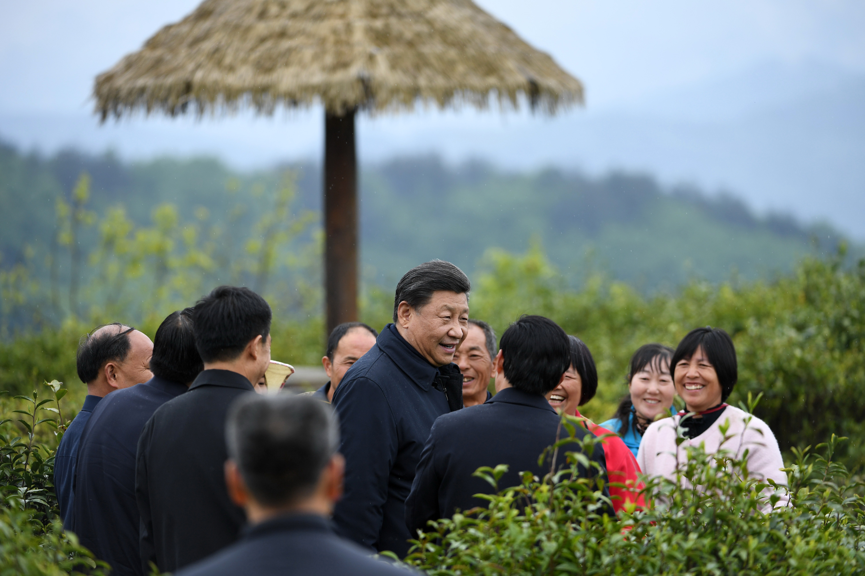 2020年4月21日，習(xí)近平在安康市平利縣老縣鎮(zhèn)蔣家坪村女媧鳳凰茶業(yè)現(xiàn)代示范園區(qū)，同茶農(nóng)們親切交談。