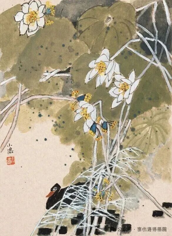 圖片